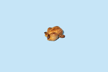 roast turkey