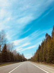Fototapeta premium road in autumn