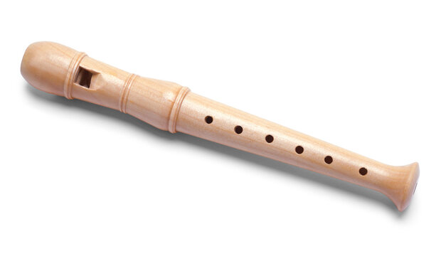 Wood Recorder Top View