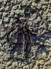 old spoiled wired headphones on the pavement