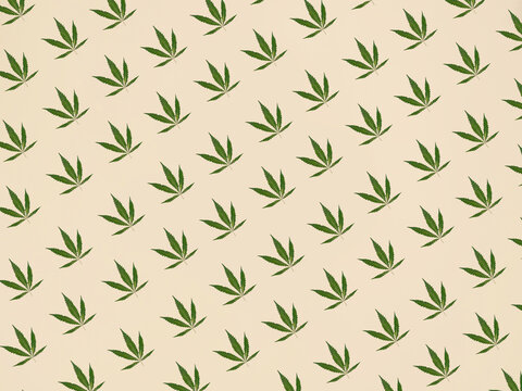 Cannabis Leaf Pattern