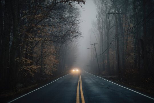 Rural Road with Moody Fog