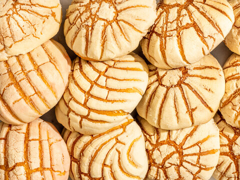 Concha Mexican Baked Good