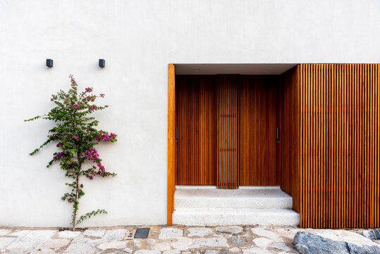 Minimalist house facade