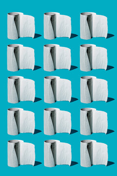 toilet paper crisis