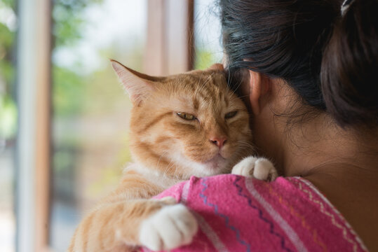 Asian woman hugging cat