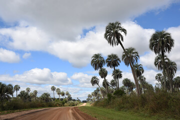 Le parc national El Palmar (Parque Nacional El Palmar en espagnol), en Argentine