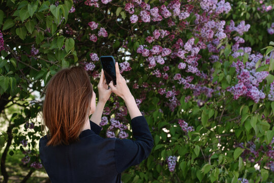 Woman taking photo with a phone of spring blossom