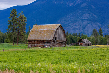 old wooden barn with gambrel roof and shed with mountain in background, flathead valley, Montana