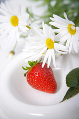 イチゴとマーガレット