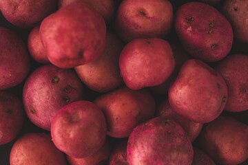 Cambray Pink potato Macro close up