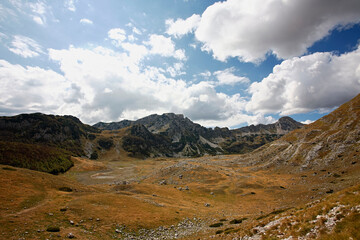 Mountain landscapes, wooded landscape with dynamic clouds