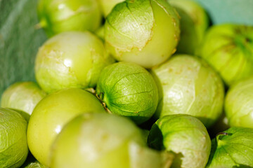 Fresh green tomatillo (Mexican husk tomato)