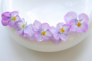 うす紫色のパンジー