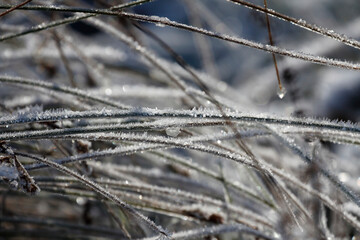 The grass covered in snow and ice