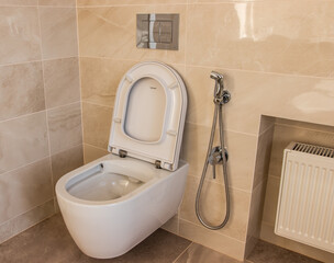 toilet in the bathroom, modern toilet ramont