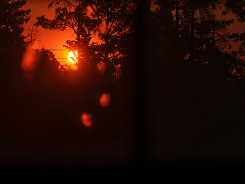 Oregon Fires