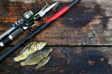  A wooden aged wet background, with fishing rods, spinning on the left and three fish.