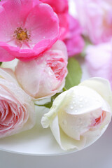 薔薇