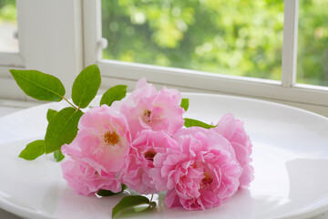 窓辺に飾られた薔薇