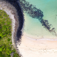 Aerial of dogs in the surf at Green Island, Cunjurong Point, NSW Australia