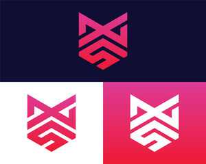 Letter X S logo design. creative minimal monochrome monogram symbol. Universal elegant vector emblem. Premium business logotype. Graphic alphabet symbol for corporate identity