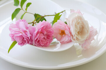 薔薇のクローズアップ