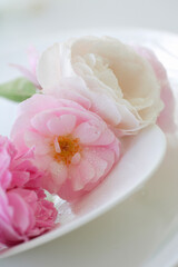 薔薇のクローズアップ