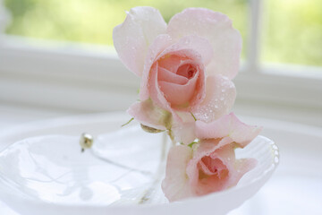 窓辺に飾られたピンクの薔薇