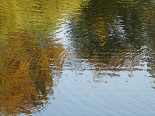 abstract texturally defocused natural autumn blurred background reflection, copy space