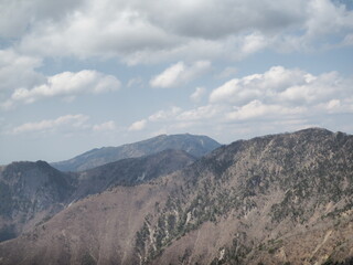 Fototapeta premium OLYMPUS DIGITAL CAMERA