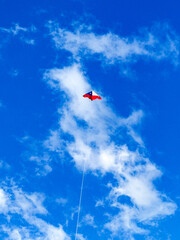 kite in the sky