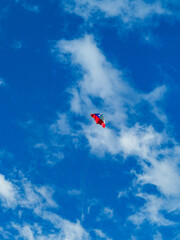 kite flying in the sky