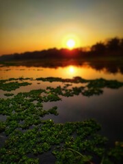 sunset over the river 