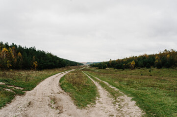 Autumn nature scene. Rural road landscape. Autumn country road. Forest road. Landscape.