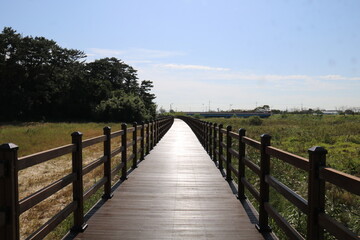 Obraz premium wooden bridge over the river
