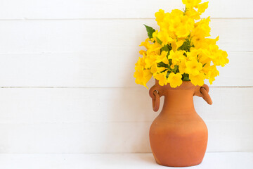 colorful yellow flowers in flowerpot decoration style on background white wooden