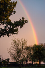 rainbow in the sky