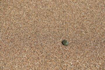 바닷가의 모래와 자갈이 보이는 아름다운 풍경