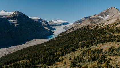 Fototapeta premium Panorama landscape view to Saskatchewan Glacier part of the Columbia Icefield on the border of Jasper and Banff National Parks from the Parker's Ridge hiking trail, Canadian Rockies, Alberta, Canada