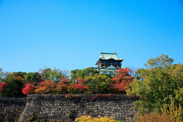 Fototapeta na wymiar 秋の大阪城