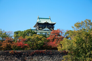 Fototapeta premium 秋の大阪城
