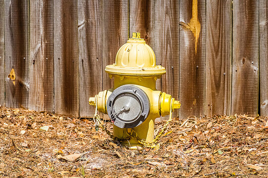 Yellow Hydrant