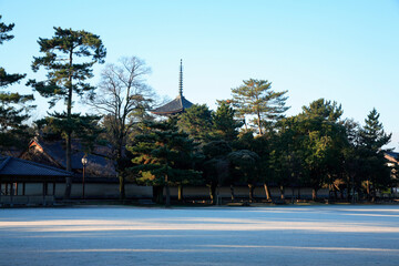 冬の興福寺