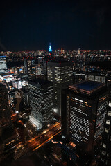 Beautiful urban citylight of Tokyo Japan at night. Aeral view