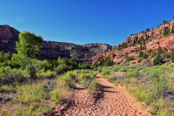 Lower Calf Creek Falls views from the hiking trail Grand Staircase-Escalante National Monument between Boulder and Escalante off Highway 12 in Southern Utah. United States.