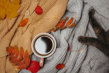 autumn, dry red autumn leaves lie on sweaters that are folded around a hot espresso mug, led garland lies around, see the paws of a gray cat, Flatley