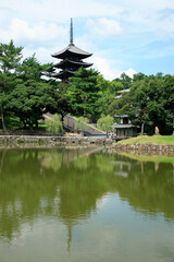 Fototapeta na wymiar 猿沢池と興福寺