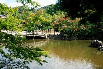 円山公園