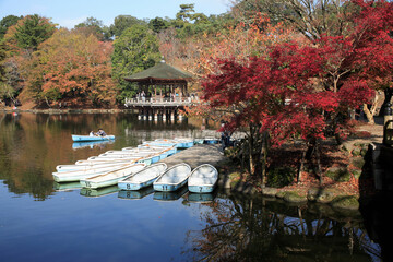 紅葉の浮御堂